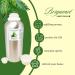 Bergamot Essential Oil 16 fl oz Aluminum Bottle (Pack of 2) 100% Pure Essential Oil GreenHealth - Buy Online on GoSupps.com