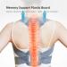 Adjustable Back Posture Correction Belt - Clavicle & Spine Support for Adults (XL Code) - Improve Your Posture Today - Buy Online on GoSupps.com