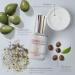 Glowbiotics Probiotic HydraGlow Cream Oil Pearl - Illuminating Glow Drops for a Flawless No-Makeup Look | 1 Fl Oz - International Shipping - Buy Online on GoSupps.com