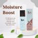 LYS Beauty Skin Loyalty Setting Spray 3.38 oz | Long-Lasting Makeup Fixer | Shop Internationally - Buy Online on GoSupps.com