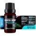 Juniper Berry (Juniperus communis) 100% Pure Essential Oil Select Grade 10ml - Buy Online on GoSupps.com
