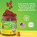 Vitamin Friends Vegetarian Kids Multivitamin Gummies with Choline - 30 Day Supply - Buy Online on GoSupps.com