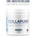 Revive MD CollaPURE Collagen Peptides Powder for Women & Men Unflavored - Type I & Type III Grass-Fed Collagen Supplements for Hair Skin Nails Bones & Joint Health - No Fillers (30 Servings) - Buy Online on GoSupps.com