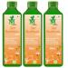 NSH Sea Buckthorn Juice - 500 ml pack of 3