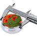 Portable Round Pill Box with Poppy Flower Petals - Lightweight Moisture-Proof Vitamin Organizer - Buy Online on GoSupps.com