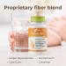 Lifestyles FiberLife Supplement Soluble Fiber for Digestive Health & Cholesterol Support with Konjac Guar Gum Xanthan Gum and Cinnamon Made in Canada 60 Capsules (60 Capsules (Pack of 1)) 1 Count (Pack of 1) - Buy Online on GoSupps.com