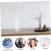 Vintorky 10-Pack Clear Squeeze Cosmetic Bottles for Makeup & Hair Color Storage - Durable & Refillable - Buy Online on GoSupps.com