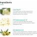 Beuniq Acne Scars & Marks Cream - Corrector for All Skin Types - 30g - Buy Online on GoSupps.com