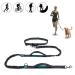 Hands Free Dog Leash Retractable Dog Leash Running with Dual Bungees for Medium and Large Dogs Adjustable Waist Belt Reflective Stitching Leash for Running Walking Hiking Jogging Biking (Green)