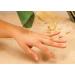 Aloe Vera Hand Cream with Almond & Avocado Oil | 80% Aloe Vera - 100ml Moisturizing Cream - Buy Online on GoSupps.com