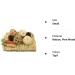 LLGLEU 2 Pcs Grass Mat for Rabbit with 4 Play Balls Pine Cone Carrot Bunny Chew Toy Natural Woven Bed Mat Molar Teeth Set for Guinea Pig Chinchilla Squirrel Hamster and Small Animal (Typ1) - Buy Online on GoSupps.com