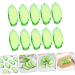 TOYANDONA 10pcs Simulation Cucumber Slice Simulation Green Cucumber Decorative Foam Fruit Realistic Fruit Fake Cheese Fake Cucumber Fake Pineapple Child Fake Vegetables Vegetable Slices Pvc - Buy Online on GoSupps.com