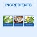 Spray anal de traitement des h morro des base de plantes spray naturel pour h morro des soulage efficacement l'inconfort (1 Pcs) - Buy Online on GoSupps.com