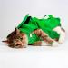Qianly Cat Grooming Bag Travel Bag Portable Pet Bag Cat Restraint Bag Small Medium Large Cat Claw Care Green S S Green - Buy Online on GoSupps.com