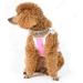 RayMinsino Pet collar with diamonds adjustable crystal diamond elastic bone pendant wedding cat and dog small pet necklace jewelry S White - Buy Online on GoSupps.com