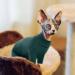 Hjyokuso Sphynx Cats Clothing | Soft & Breathable Cat Sweater for Sphynx Cornish Rex Devon Rex Peterbald | Warm Cat Wear with Four Legs - XL Green - Buy Online on GoSupps.com