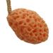 Buy Konjac Body Cleansing Sponge | Premium Shower & Face Exfoliator - Spa Quality for All Skin Types - Buy Online on GoSupps.com