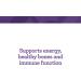 Buy Innate Response Formulas One Daily - 90 Tablets | Optimal Health & Wellness - Buy Online on GoSupps.com