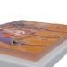 3B Scientific J10 Skin Section 70 Times Full-Size 10.2-Inchx13-Inchx2-Inch - Buy Online on GoSupps.com