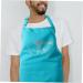 Angoily Barber Apron Hairstylist Apron Chef Apron Grilling Gloves Hair Cutting Apron Hair Dresser Apron for Women Bib Apron Waist Aprons Polyester Adjustable Hair Dye Miss - Buy Online on GoSupps.com
