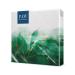PAW - Napkins 3 -layer (33 x 33 cm) I 20 pieces I Perfect for communion wedding confirmation and celebration I paper napkins colorful with decorations I Special occasions ornaments luxury i green dream