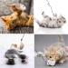Buy ZDQC 5-Piece Cat Toy Set - Interactive Feather Rods & Springs for Engaging Play - Ideal for Cats - Buy Online on GoSupps.com