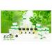 ECO Amenities Travel Toothbrush Kit - Disposable Toothbrush with Toothpaste | Individually Wrapped | 100 Sets per Case - Buy Online on GoSupps.com