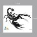 Yeeech 3D Scorpion Temporary Tattoos Sticker Black - Set of 2 Sheets for Men - Buy Online on GoSupps.com