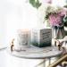 Shady Pines Candle - Thank You for Being a Friend | Cedarwood & Orchid | International Shipping Available - Buy Online on GoSupps.com