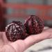 Unbit Ballstretcher & Magnetic Stress Ball - Portable Walnut Schnitz Massage Hand Exercise for Stress Relief | International Shipping Available - Buy Online on GoSupps.com