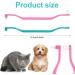 Wheeleroa Cat Toothbrush Set - 2 Double-Sided Brushes for Deep Cleaning Kittens & Cats | Microba Head & Curved Handle | Green & Pink Accessories - Buy Online on GoSupps.com