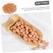 ABOOFAN 2pcs 1 Simulation Peanut Simulated Nut Artificial Groundnut Kernels Fake Dried Fruits Imitation Peanut Adornment Scene Adornment Simulation Fake Fruit Fake Nut Model Corn Pvc - Buy Online on GoSupps.com