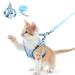 BriFit cat dishes with a leash 150cm cat dishes Breaking-safe & high-quality software for cats dogs cat leash with dishes for cats Small dogs blue XS for 6.61-1lb pet