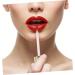 Healvian Lot de 12 Tubes de Gloss L vres Vides de Crayon Transparents Rechargeables Format Mini pour Maquillage L vres Usage Cosm tique Pinceau Int gr pour DIY et Voyage 1 unit (Lot de 1) comme montr  - Buy Online on GoSupps.com