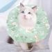 Buy Dzmuero Adjustable Soft Cat Collar 16-29 cm | Leakproof & Anti-Bite Recovery Collar for Pets After Surgery - Green - Buy Online on GoSupps.com