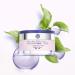 Yves Rocher Filler Vegetal Day Cream 50ml - Anti-Aging Hydrating Moisturizer for Radiant Skin - Shop Internationally - Buy Online on GoSupps.com