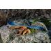 Kupilka Long Spork - Eco-Friendly Dishware for Outdoor Dining - Blue - Buy Online on GoSupps.com