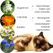 Topvet Cat Eye Cleaner | Natural Allergy Relief with Boric Acid & Herbal Extracts | 50ml - Buy Online on GoSupps.com