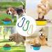 Lomug 3-Piece Foldable Travel Dog Bowl Set - 350ml Safe Bowls for Cats & Dogs - Includes Carabiners - Yellow Light Green Light Blue - Buy Online on GoSupps.com
