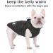 Buy Luowan Waterproof Dog Coat for French Bulldogs - Warm Vest & Jacket for Small Dogs (Size S Black) - International Shipping Available - Buy Online on GoSupps.com