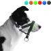 ILEPARK Adjustable Dog Halter with Padded Fabric - Prevent Pulling M Apple Green | Ideal Halter Collar for Dogs - Buy Online on GoSupps.com