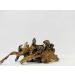 Sabarot - Dried Death Trumpets 100g - Buy Online on GoSupps.com