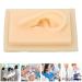 Buy Realistic Silicone Acupuncture Ear Model | Natural Size Soft Texture | Ideal for Teaching & Exercises - Buy Online on GoSupps.com