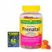 Spring Valley Adult Gummy Prenatal Multivitamin with DHA & Folic Acid Natural Fruit Flavors 90 Gummies+Better Guide Vitamins Supplements
