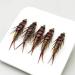 5 x Fly Fishing Hooks - Nymph Stonefly Bait for Trout Perch & Grayling | International Shipping Available - Buy Online on GoSupps.com