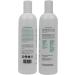 Citrus All Natural Daily Moisturizing Shampoo & Daily Light Conditioner Bundle Shampoo & Conditioner Set Hair Conditioner & Shampoo for Women and Men Sulfate & Paraben Free Vegan 360ml WIth Individual Wet Wipe (Pack of 2) - Buy Online on GoSupps.com