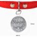 Buy Ibera Gifts: Personalized Cat Collar Engraved for Medium to Large Cats - Silver Glitter Necklace - Buy Online on GoSupps.com