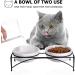 Y YHY Raised Cat Bowls 12oz Elevated Cat Food and Water Bowls with Stand Raised Pet Feeder Elevated Food Feeding Dishes for Cats or Dogs Dishwasher Safe Gift for Cats Dia 4.8in/White 12oz | 354ml White - Buy Online on GoSupps.com