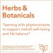 Now Foods Bacopa Extract 450mg - 90 Veg Capsules for Memory & Focus - Buy Online on GoSupps.com