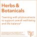 Now Foods Stinging Nettle Root Extract 250mg - 90 Vegan Capsules for Natural Health - Buy Online on GoSupps.com